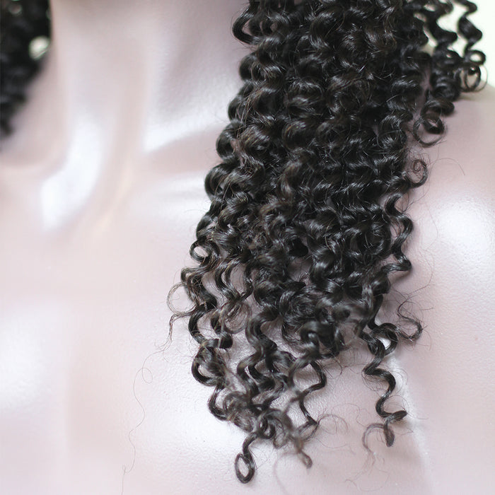 Prom Queen Afro Kinky Curly Lace Front Wig